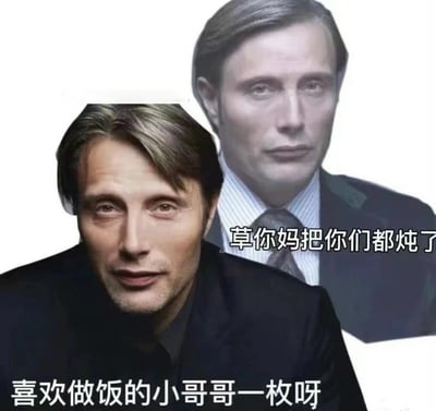 图片由两张男性人物照片拼接而成，前景是丹麦演员麦斯·米科尔森的特写，他表情严肃，眼神锐利，穿着黑色上衣；背景是另一位穿着西装、表情冷峻的男性。图片下方有文字“喜欢做饭的小哥哥一枚呀”，右侧有文字“草你妈把你们都炖了”。

图片通过反差制造幽默效果：表面上是“喜欢做饭的小哥哥”这种可爱无害的描述，却搭配了极具攻击性的“把你们都炖了”的威胁，形成强烈的语言和气质反差。