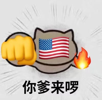 这是一张网友自制的拼贴类静态表情包，画面以浅灰色带放射线条为背景，中间是一个卡通猫的轮廓，轮廓内部填充了美国国旗图案；左侧搭配一个黄色的握拳emoji，右侧是火焰emoji，画面下方配有黑色粗体文字“你爹来啰”。整体通过夸张的视觉元素搭配戏谑的文字，营造出一种强势登场、玩梗调侃的搞笑效果，图中没有双关、谐音梗或暗示类内容。