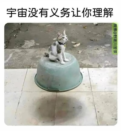 这张图是一个充满趣味的视觉错位梗图，一只灰白相间的小猫安静地坐在倒扣的灰绿色塑料盆上，地面上的阴影恰好形成了塑料盆被坐穿的视觉效果，制造出违背日常逻辑的荒诞场景。图的上方配有文字“宇宙没有义务让你理解”，用这句带有哲理感的话语来调侃这种让人摸不着头脑的视觉错觉，将现实中不合理的视觉现象和抽象的“宇宙的不可理解性”结合起来，营造出好笑又耐人寻味的氛围，仿佛这个违背常理的画面就是“宇宙荒诞之处”的具象体现。