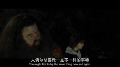 这是一张《哈利·波特》系列电影的影视截图，画面场景偏暗，左侧是留着浓密胡须的鲁伯·海格，他侧头面向身旁的哈利·波特，似乎在和他交谈；右侧是戴着标志性圆框眼镜的哈利·波特，他侧脸看向一侧，神态平静。画面底部配有中英双语字幕，中文内容为“人偶尔总要做一点不一样的事嘛”，英文对应为“You might like to try the same thing now and again.”，传递出鼓励人们打破常规、尝试新鲜事物的人生态度。