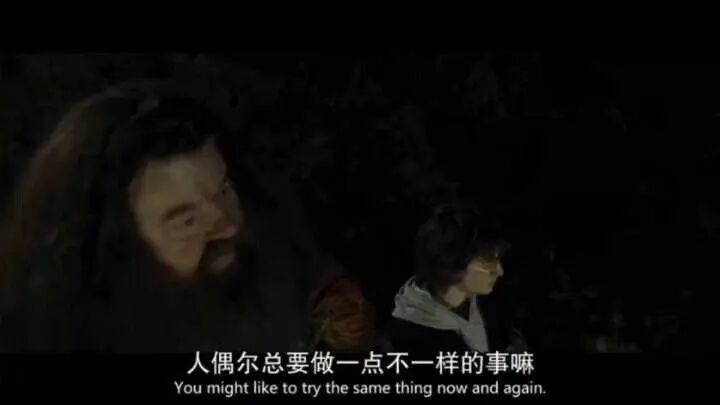 哈利·波特