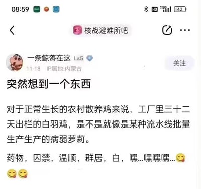 这是百度贴吧「核战避难所吧」的一则用户原创帖子截图，用户「一条鲸落在这」（IP属地内蒙古）突发奇想，将农村正常生长的散养鸡与工厂32天出栏的白羽鸡进行类比，把后者形容为流水线批量生产的「病弱萝莉」，还列出了「药物、囚禁、温顺、群居、白」等对应特点，最后搭配流口水的表情，用奇特的脑洞制造出搞笑又猥琐的效果，无谐音双关，纯粹是荒诞的联想。
