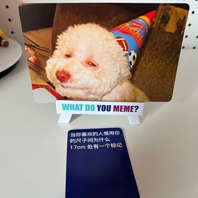 图片展示了一张来自"WHAT DO YOU MEME?"游戏的实体卡牌。卡牌上部是一只戴着彩色派对帽的白色卷毛狗，狗狗表情困倦迷茫，眼睛半睁，似乎有些不知所措。卡牌下方有一个蓝色文字牌，上面写着："当你喜欢的人借用你的尺子问为什么17cm处有一个标记"。

这张梗图通过将狗狗迷茫的表情与文字内容结合，形成了一个幽默场景。17cm的标记暗示了男性生殖器的长度，创造出一种尴尬又搞笑的情境，当被喜欢的人发现这个私密标记时的窘迫感。