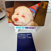 白色卷毛狗