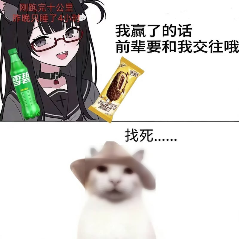 网络热门猫咪表情包