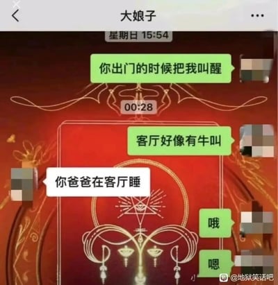 这是一张竖屏的微信聊天记录截图，聊天双方分别是备注为“大娘子”的用户和消息发送方。消息发送方首先告知大娘子“你出门的时候把我叫醒”，过了一段时间后又说“客厅好像有牛叫”，大娘子回复“你爸爸在客厅睡”，暗示所谓的“牛叫”其实是爸爸的呼噜声，消息发送方随后简单回复“哦”“嗯”。整个对话用幽默的比喻调侃了爸爸的呼噜声响亮如牛叫，充满家庭日常的搞笑氛围，聊天头像均做了马赛克处理。