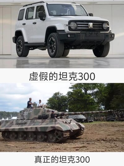 这是一张上下拼接的趣味对比梗图，上半部分展示的是长城汽车旗下WEY品牌的坦克300硬派越野SUV，搭配文字“虚假的坦克300”；下半部分是二战时期德国研制的虎王重型坦克（车身编号为300，为复原展品，出现在军事主题活动场景中），搭配文字“真正的坦克300”。该图利用“坦克300”这个名称的双关含义，将民用越野车型与真实军用坦克进行反差对比，制造出诙谐幽默的效果，深受汽车爱好者与军事爱好者的喜爱。