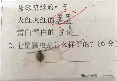 这是一张小学生的语文作业实拍图，包含两部分内容：第一部分是ABAB式词语搭配练习，分别为「碧绿碧绿的叶子」「火红火红的苹果（被红笔圈注，应为正确答案）」「雪白雪白的雪花」；第二部分是一道6分的简答题「七星瓢虫是什么样子的？」，答题者没有用文字作答，而是将一只真实的多星瓢虫（并非七星瓢虫）粘贴在答题线上，用实物来回应题目，充满童真的创意让人忍俊不禁。