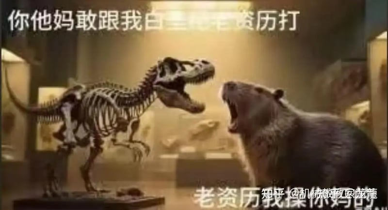 水豚