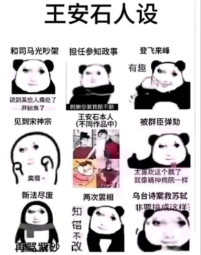 这是一张以北宋政治家王安石为核心的九宫格趣味梗图，采用网络流行的熊猫头表情包与不同风格的王安石形象，对应王安石人生中的关键历史节点：与司马光论战、担任参知政事、创作《登飞来峰》、面见宋神宗、遭群臣弹劾、新法尽废、两次罢相、乌台诗案营救苏轼等场景，用接地气的网络热梗和夸张的表情包情绪，戏谑式解构历史人物的多样状态，比如被弹劾时吐槽朝堂像精神病院，新法尽废时悲愤喊出“再骂紫砂”，还加入不同作品中王安石的形象对比，让严肃的北宋历史变得生动搞笑。