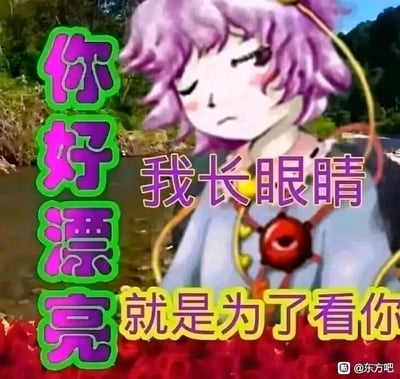 这是一张二次创作的东方Project梗图，将《东方Project》中的角色古明地觉的头像与户外河流、红玫瑰背景拼接，搭配直白的土味情话文案：「你好漂亮 我长眼睛就是为了看你」。角色半睁着眼睛，神态略带无奈，和直白的土味文案形成反差，用夸张的方式花式夸赞对方，风格搞笑又接地气，适合用来向朋友或喜欢的人表达欣赏。
