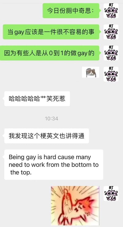 这是一张聊天记录截图，包含关于同性恋的幽默梗图。图中上方有绿色文本气泡，内容为："今日份厕中奇思：当gay应该是一件很不容易的事因为有些人是从0到1的做gay的"，旁边配有小章鱼图案。中间有白色气泡写着"哈哈哈哈哈艹笑死惹"和"我发现这个梗英文也讲得通"，下方是英文翻译："Being gay is hard cause many need to work from the bottom to the top."。最底部有一个卡通猫咪竖起中指的图案。图片利用"从0到1"和"from the bottom to the top"制造双关笑话。