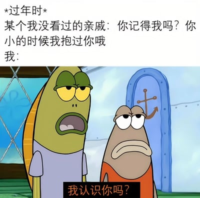 这张梗图上方是文字描述过年期间的经典尴尬场景：「*过年时* 某个我没看过的亲戚：你记得我吗？你小的时候我抱过你哦 我：」，下方搭配《海绵宝宝》动画截图。图中两条鱼角色，绿色条纹鱼眉头紧锁、眼睛瞪大，嘴巴微张呈困惑震惊状；棕色鱼则眼皮耷拉、嘴角下撇，表情疲惫又冷漠。底部文字「我认识你吗？」精准呼应了年轻人面对陌生亲戚「灵魂拷问」时的内心OS，用动画角色的夸张表情幽默化解了过年社交中的普遍尴尬。