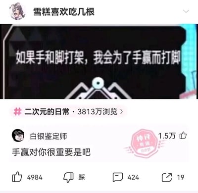 这是一张来自皮皮虾平台的社交媒体截图，顶部是用户“雪糕喜欢吃几根”发布的脑洞内容：“如果手和脚打架，我会为了手赢而打脚”，该内容关联“二次元的日常”话题，拥有3813万浏览量。下方是用户“白银鉴定师”的评论“手赢对你很重要是吧”，这条评论以调侃的方式回应原内容的脑洞逻辑，获得了1.5万点赞，还被平台标注了“神评 有趣”的标识，同时该评论还有4984个赞、424条评论以及19次转发。整个内容是网友围绕无厘头脑洞展开的趣味互动，通过简单的对话制造出轻松幽默的效果。