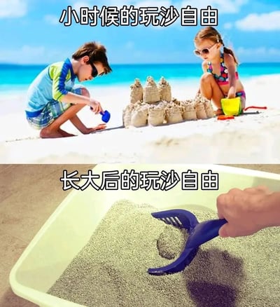 图片分为上下两部分形成鲜明对比。上半部分展示了两个孩子在蓝天白云下的海滩上快乐地玩沙，男孩用蓝色小铲子、女孩用黄色小桶共同堆砌出一座沙堡，配文“小时候的玩沙自由”，体现了童年时期无忧无虑、尽情享受玩沙乐趣的场景。下半部分则是一只成人的手拿着蓝色猫砂铲在浅色容器中翻动沙子（实际为猫砂），配文“长大后的玩沙自由”，幽默地暗示成年人所谓的“玩沙”已变成清理猫砂的日常家务，通过“玩沙自由”的双关对比，调侃了童年与成年生活状态的反差。