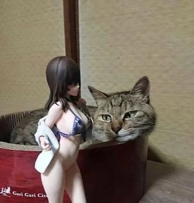 一只虎斑猫慵懒地窝在红色容器中，头部探出边缘，眼神锐利地注视前方。容器前摆放着一个穿着比基尼和半开浴袍的女性手办，形成了现实动物与二次元手办的有趣对比。手办的姿态自然，而猫咪的表情则显得有些严肃，两者的组合创造出一种荒诞又搞笑的视觉效果。