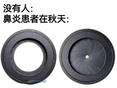 这是一张用来调侃秋季鼻炎患者的搞笑梗图，采用左右对比的形式：
- 上方文字“没有人：”对应左侧完全张开的相机光圈，用来比喻正常状态下鼻子通气顺畅的样子；
- 文字“鼻炎患者在秋天：”对应右侧收缩成极小孔洞的相机光圈，精准还原了鼻炎发作时，鼻子严重堵塞、只能勉强通气的状态。

这张图用直观的视觉比喻，精准戳中鼻炎患者秋季的痛苦，引发强烈共鸣，没有双关或谐音梗，全靠形象的对比传递笑点与无奈。
