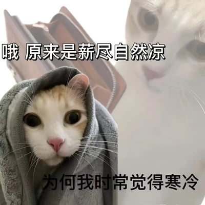 图片左侧是一只裹在灰色毯子里的猫咪，仅露出头部，眼睛圆睁，表情带着疑惑与惊讶。右侧背景是另一张猫咪的模糊侧脸特写。图片上方有文字“哦 原来是薪尽自然凉”，下方有文字“为何我时常觉得寒冷”。该图通过谐音梗制造幽默效果，将成语“心静自然凉”中的“心”替换为“薪”（薪资），形成“薪尽自然凉”的双关语，暗指薪资耗尽后带来的“寒冷”感受，常用于职场人士对薪资状况的自嘲与吐槽。