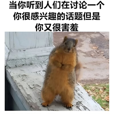 图片上方配有文字“当你听到人们在讨论一个你很感兴趣的话题但是你又很害羞”，下方是一只松鼠直立站在风化的窗台上，身体微微前倾，眼睛看向镜头，表情既好奇又带着一丝犹豫，生动形象地展现了想参与感兴趣话题却因害羞而踌躇不前的状态。