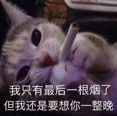 图片为一只灰白相间的猫咪特写，它睁着大大的眼睛，用爪子夹着一根香烟靠近嘴边，表情看似无辜又带着一丝忧郁。图片底部配有文字：“我只有最后一根烟了 但我还是要想你一整晚”。通过猫咪拟人化的吸烟动作与伤感文字的结合，形成一种反差萌，既幽默又略带心酸地表达了思念之情。