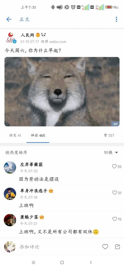 这是一张微博平台的内容截图，人民网官方账号于01-15 07:17发布互动微博，提问“今天周六，你为什么早起？”，并搭配了一张表情倦怠、神态无奈的藏狐动态Gif图，该图的状态契合了被迫早起上班的打工人的心情。评论区中，高赞评论均围绕周六上班、加班展开，有网友直接表示“因为劳动法是摆设”，还有网友直白回复“上班啊”“上班啊，又不是所有公司都有双休😢”，反映了当下部分职场存在双休无法保障、打工人被迫周六加班的现状，评论区充满了打工人的无奈与共鸣。
