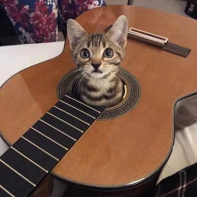 一只虎斑小奶猫正从棕色木吉他的音孔中探出头来，大大的圆眼睛好奇地望着前方，耳朵竖起，胡须清晰可见。吉他的木质纹理和音孔边缘的雕花细节清晰，背景中隐约可见带有红色花纹的布料。整体画面温馨可爱，充满反差萌。