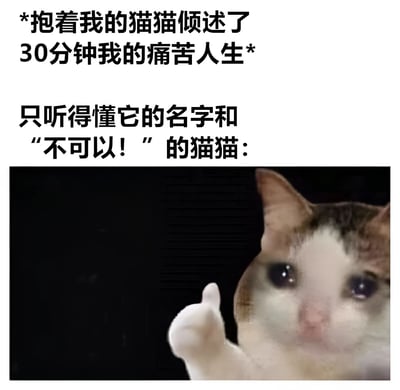 图片上方为文字内容：“*抱着我的猫猫倾述了30分钟我的痛苦人生* 只听得懂它的名字和‘不可以！’的猫猫：”，下方是一只表情严肃的猫，正抬起一只爪子，背景为黑色。整体通过幽默的方式展现了宠物主人向猫咪倾诉烦恼，而猫咪实际上只能理解简单指令的反差萌场景。