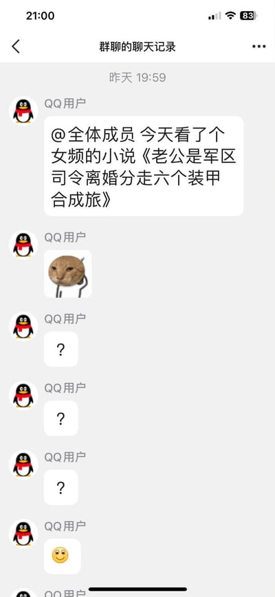 这是一张QQ群聊的聊天记录截图，一位QQ用户@全体成员分享了一个标题极其离谱的女频小说《老公是军区司令离婚分走六个装甲合成旅》，随后发送了一个生无可恋的猫咪表情包，接着连发三个问号，最后发送了一个微笑表情，以此表达对这个脱离现实、夸张到荒诞的小说标题的吐槽和无语。该小说标题完全不符合现实逻辑，将军事编制作为离婚财产分割，充满了女频爽文的夸张设定，十分搞笑。