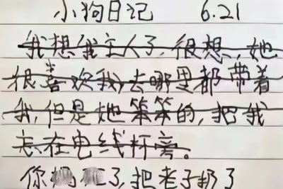 图片展示了一篇手写的“小狗日记”，日期为6.21。日记以小狗的第一人称视角展开，内容充满了对主人的思念：“我想我主人了，很想，她很喜欢我，去哪里都带着我”，随后笔锋一转，委屈地提到“但是她笨笨的，把我忘在电线杆旁”，最后以带有愤怒情绪的“你**的，把老子扔了”收尾。整体文字手写风格稚嫩，情感真挚又带点小脾气，生动展现了宠物视角下的失落与不满。