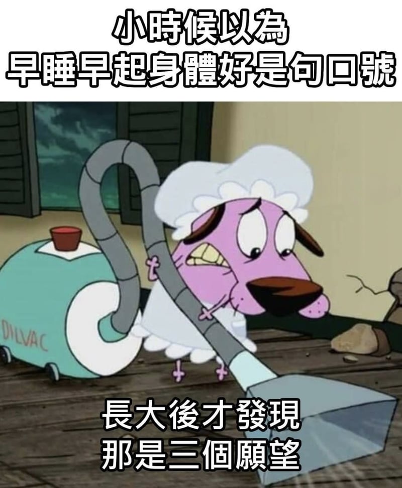 胆小狗英雄