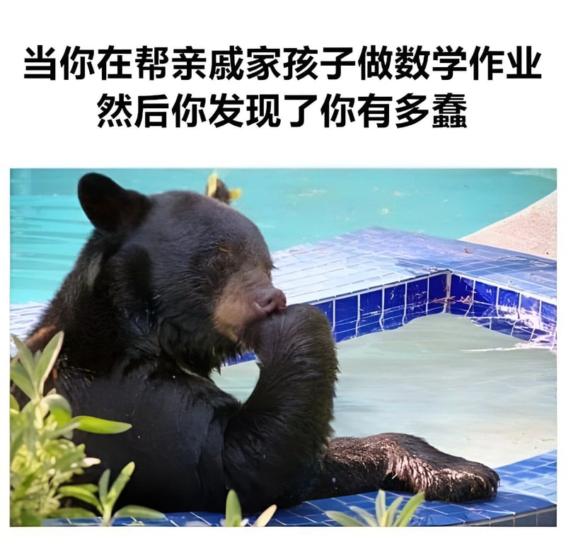 黑熊