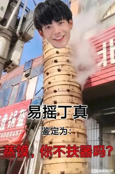 这是一张经过P图二次创作的搞笑表情包，创作者将网红丁真面带微笑的头部图像，合成在一摞高耸的蒸馍蒸笼顶端，蒸笼正冒着蒸汽，背景是街边的小吃店铺。图中运用了多处谐音梗与网络流行句式：“易摇丁真”谐音“一窑定蒸”，对应大量蒸制馒头的场景；下方“鉴定为：蒸馍，你不扶器吗？”里，“蒸馍”谐音“真的”，“扶器”谐音“服气”，既贴合了高耸蒸笼需要扶持的现实场景，又谐音出“真的，你不服气吗？”的调侃话语，结合当下流行的“鉴定为”句式，整体营造出荒诞、搞笑的氛围，适合在社交场景中用于调侃、活跃气氛。