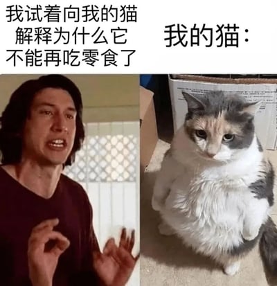 图片为左右对比的图文混排结构。左侧是一位长发男性，穿着深红色上衣，双手摊开做出解释的手势，表情略显无奈，上方文字为“我试着向我的猫解释为什么它不能再吃零食了”；右侧是一只灰白相间的胖猫，正坐在地上，背后有纸箱，眼神平静地看向前方，上方文字为“我的猫：”。通过人类认真解释与猫咪漠不关心的反差，幽默展现了宠物主人与猫咪沟通时的常见场景，突出人宠之间的“沟通障碍”。