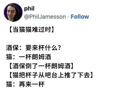 这是一张社交媒体截图，内容为用户phil发布的一则关于猫咪的冷笑话。笑话场景设定在酒吧，当猫猫难过时，酒保询问想喝什么，猫咪点了朗姆酒，却在酒保倒酒后将杯子推下吧台，接着要求“再来一杯”，通过猫咪的反常行为制造幽默效果。