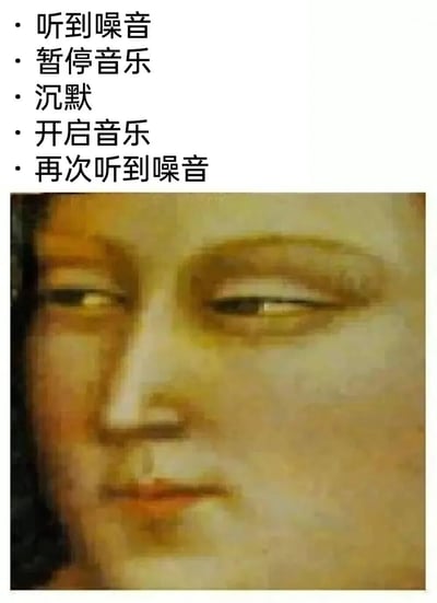 图片上方是一系列描述听音乐被噪音打扰过程的文字："听到噪音、暂停音乐、沉默、开启音乐、再次听到噪音"。下方是世界名画《蒙娜丽莎》的面部特写，但经过了模糊处理，使原本神秘的微笑看起来多了几分无奈和烦躁，完美契合了文字描述的反复被噪音打扰的心情。这种将古典艺术与现代生活烦恼结合的方式，形成了幽默的反差效果。