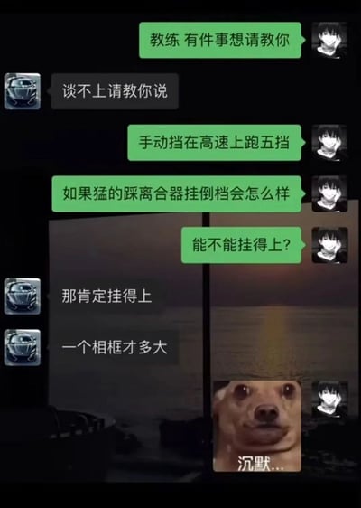 这是一张聊天记录形式的搞笑梗图，展示了一段关于手动挡汽车的对话。绿色对话框一方（配动漫人物头像）向教练（汽车头像）请教：'手动挡在高速上跑五挡如果猛的踩离合器挂倒档会怎么样'，教练回答：'那肯定挂得上，一个相框才多大'，最后以一张震惊的小狗表情包和'沉默...'文字收尾，形成幽默效果。