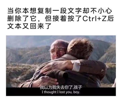 图片上方配有文字描述日常办公中的常见场景：当你本想复制文字却不小心删除，按下Ctrl+Z后文本失而复得的经历。下方是一张电影截图，画面中两位人物在山间背景下紧紧拥抱，底部字幕为“我以为我失去你了,孩子”（I thought I lost you, boy.），通过拥抱的温馨场景与文字内容结合，幽默地表现了找回误删文字时的如释重负与喜悦。