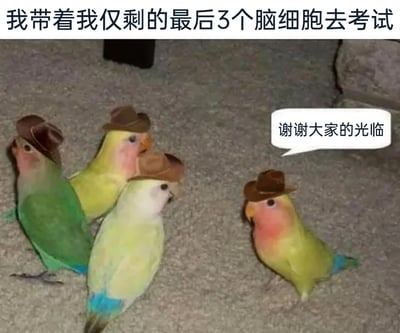 这是一张用于吐槽考试压力的搞笑梗图，顶部配有文字“我带着我仅剩的最后3个脑细胞去考试”，画面展示了四只被P上棕色牛仔帽的鹦鹉，其中右侧单独的鹦鹉带有对白气泡，内容为“谢谢大家的光临”。图中将自己仅剩的3个脑细胞具象化为三只鹦鹉，而右侧的鹦鹉则象征着考试结束后彻底“谢幕离场”的脑细胞，生动且幽默地调侃了备考时耗尽精力、脑子空空，考试后彻底疲惫的状态，精准戳中了学生及备考人群的共鸣点。