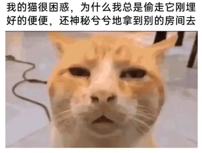 图片上方配有文字：'我的猫很困惑，为什么我总是偷走它刚埋好的便便，还神秘兮兮地拿到别的房间去'，下方是一只橘猫的面部特写。猫咪眼神微眯，眉头微蹙，表情显得十分困惑，仿佛正在思考主人这一行为的原因。整体通过拟人化的文字和猫咪真实的困惑表情，营造出幽默搞笑的氛围，展现了宠物与主人之间有趣的日常互动。