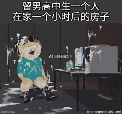这张梗图改编自动画《南方公园》的角色画面，图中卡通角色浑身沾满不明白色液体，坐在一片狼藉的房间地面上，周围的桌子、电脑也被白色液体覆盖，上方配文“留男高中生一个人在家一个小时后的房子”，用极度夸张的画面调侃男高中生独自在家时会把家里搞得一团糟，充满搞笑效果，没有双关、谐音梗等内容。