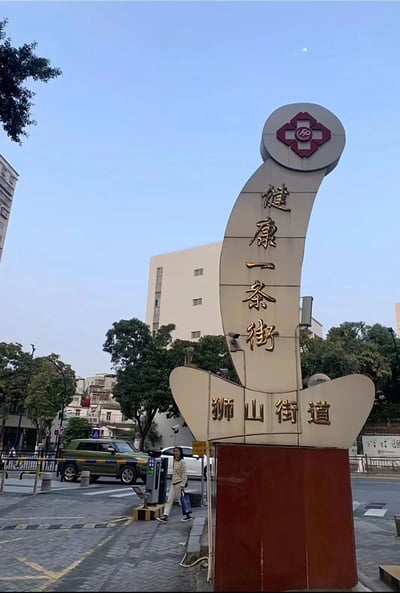 图片展示了狮山街道的标志性路牌“健康一条街”。路牌为弧形立体结构，主体呈米白色，顶部有红色菱形花纹标志，正面竖排金色文字“健康一条街”，底部基座刻有“狮山街道”。背景为城市日常街景，可见多层居民楼、绿树、行驶的绿色车辆及一名行人，天空晴朗，整体呈现出生活化的社区环境氛围。