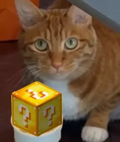 这是一张经过合成创作的梗图，主体是一只橘白相间的橘猫睁着圆溜溜的眼睛，正好奇地盯着画面左下角合成添加的超级马里奥系列经典像素风黄色问号方块，整体画面生动，完美契合配文想要表达的感受：每天打开B站时不知道会刷到什么意外内容，好奇又疑惑的心情和马里奥顶问号方块时不知道会开出什么道具的感受完全一致。
