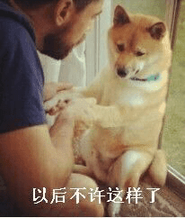 图片中一名穿着蓝色上衣的男子（仅露出侧脸和部分身体）正握着一只柴犬的前爪，柴犬呈坐姿，身体前倾，眼神看向男子，表情显得有些无辜。图片底部有一行文字“以后不许这样了”，通过拟人化的方式，营造出男子正在“教育”柴犬的幽默场景，仿佛柴犬做了什么调皮的事情被当场抓包。