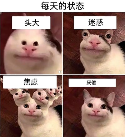 这是一张四格拼接的网络表情包，以经过修图、拥有人类面部表情的猫咪为核心元素，顶部标注“每天的状态”，四格分别对应“头大”“迷惑”“焦虑”“厌倦”四种当代人常见的日常情绪。第一格通过放大猫咪脸部，传递出因烦心事而“头大”的烦躁；第二格猫咪瞪大双眼，表情怪异，表现出茫然“迷惑”的状态；第三格通过复制多个猫咪头部形成重影，具象化“焦虑”时的混乱情绪；第四格猫咪眼神麻木，表情疲惫，对应对日常事物“厌倦”的精神状态，精准贴合当代人的生活感受，容易引发情感共鸣。