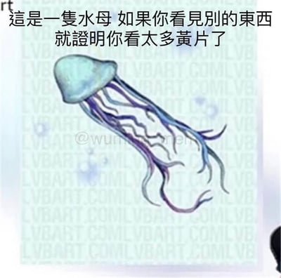 这是一张带有视觉错位效果的网络梗图，画面核心是一幅手绘风格的水母插画，水母的触须形态设计具有视觉误导性，容易让观看者联想到其他形象；画面上方配有文字“这是一只水母 如果你看见别的东西 就证明你看太多黄片了”，以玩笑式的调侃来和观看者互动，利用视觉错觉制造趣味笑点，这类梗图常被用于社交平台的好友互动、趣味话题传播。