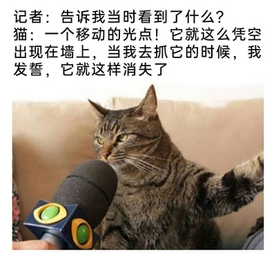 这是一张经过P图创作的趣味梗图，画面中一只狸花猫坐在沙发前，面前有一只手拿着麦克风，猫咪抬起一只爪子，仿佛正在接受记者的采访。图中搭配了拟人化的对话：记者询问猫咪当时的所见，猫咪讲述自己看到墙上凭空出现一个移动的光点，当它伸手去抓的时候光点就消失了，精准还原了猫咪追逐激光笔光点时执着又落空的日常趣事，用采访的拟人形式制造出诙谐搞笑的效果。