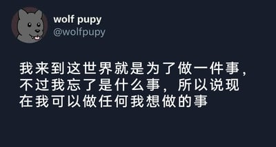 这是一张模仿X平台（原推特）界面的社交媒体截图，左上角是账号名为“wolf pupy”（@wolfpupy）的用户头像，是一个吐着舌头、表情轻松愉悦的卡通灰狼形象。截图核心内容是该用户发布的一段人生感悟文字：“我来到这世界就是为了做一件事，不过我忘了是什么事，所以现在我可以做任何我想做的事”。这段文字以一种幽默的方式消解了“人生必须有明确使命”的固有认知，传递出卸下目标束缚、随心所欲享受生活的豁达、佛系的人生态度，内容没有双关、谐音梗或暗示，整体风格轻松解压。