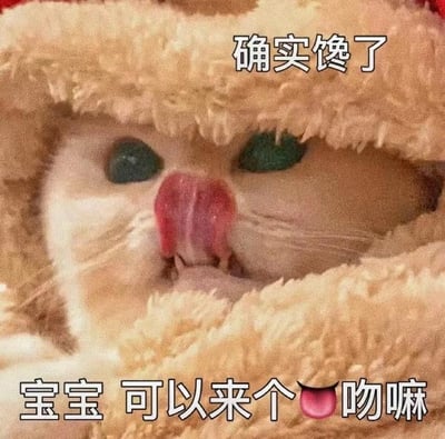 图片为一只戴着米白色毛绒帽的白色猫咪特写，猫咪有着绿色的眼睛，舌头微微伸出，表情看起来既可爱又带着一丝渴望。图片上方有文字“确实馋了”，下方有文字“宝宝 可以来个😋吻嘛”，整体营造出一种俏皮、撒娇的氛围，常用于社交媒体中以可爱的方式表达渴望或请求亲昵。