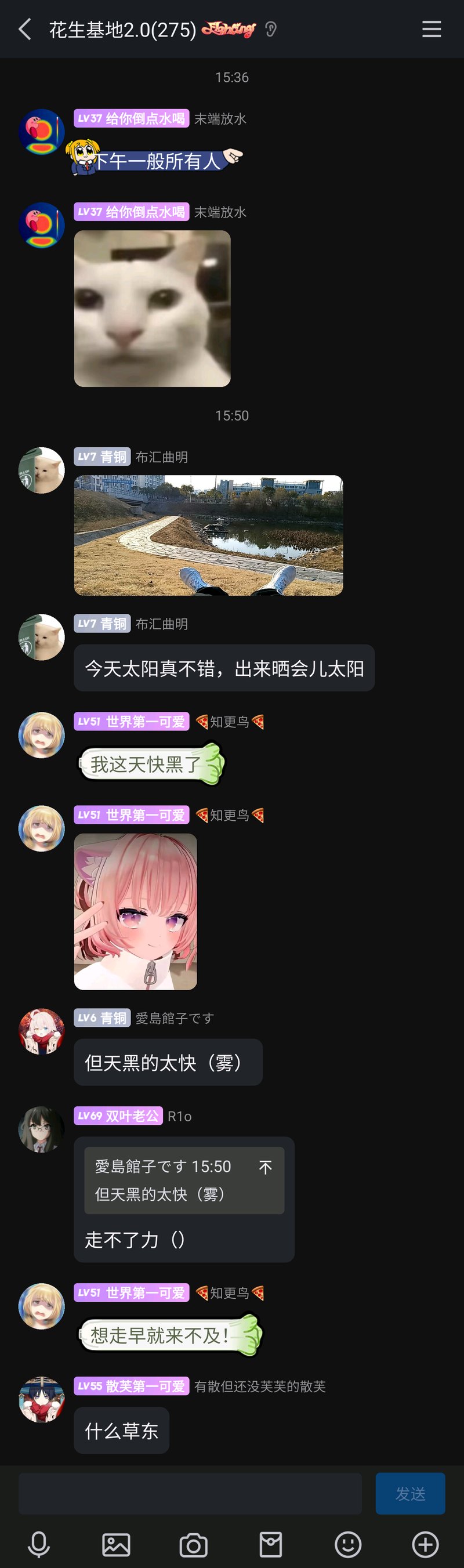 pop子