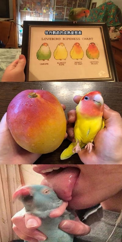 暂无描述